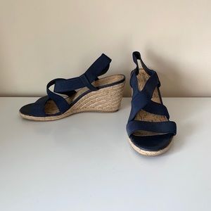 Navy Blue Wedges